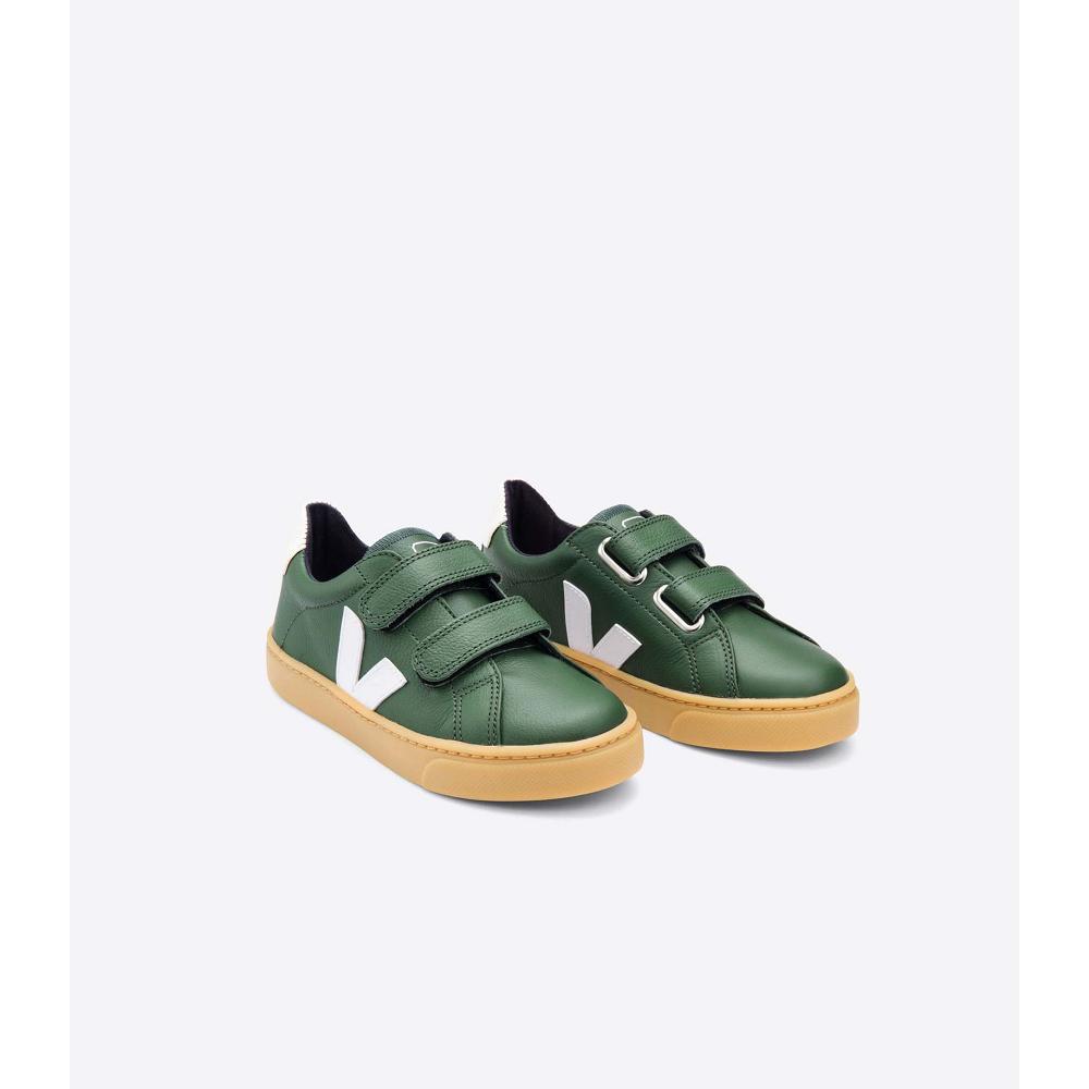 Veja ESPLAR LEATHER Sko Barn Grønn | NO 736TCE